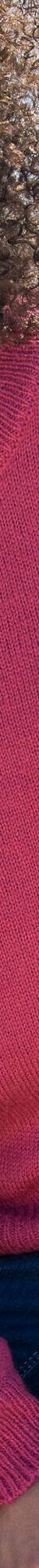 Pull col rond finitions écailles (bois de rose) Pull col rond finitions écailles (bois de rose)